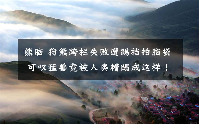 熊脑 狗熊跨栏失败遭踢裆拍脑袋 可叹猛兽竟被人类糟蹋成这样！