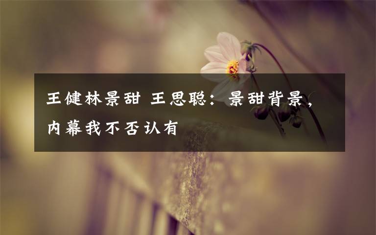 王健林景甜 王思聪：景甜背景，内幕我不否认有