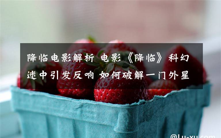 降临电影解析 电影《降临》科幻迷中引发反响 如何破解一门外星人的语言?