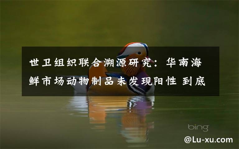 世卫组织联合溯源研究:华南海鲜市场动物制品未发现阳性 到底什么情况呢?