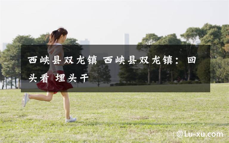 西峡县双龙镇 西峡县双龙镇:回头看 埋头干