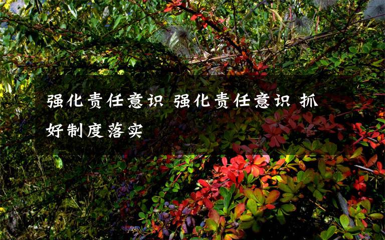 强化责任意识 强化责任意识 抓好制度落实