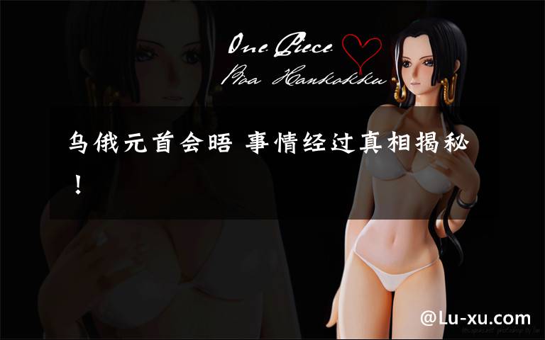 乌俄元首会晤 事情经过真相揭秘!