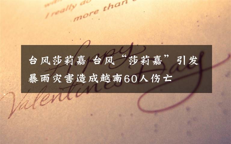 台风莎莉嘉 台风“莎莉嘉”引发暴雨灾害造成越南60人伤亡