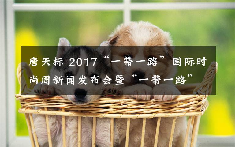 唐天标 2017“一带一路”国际时尚周新闻发布会暨“一带一路”时尚文化产业高峰论坛在京举行