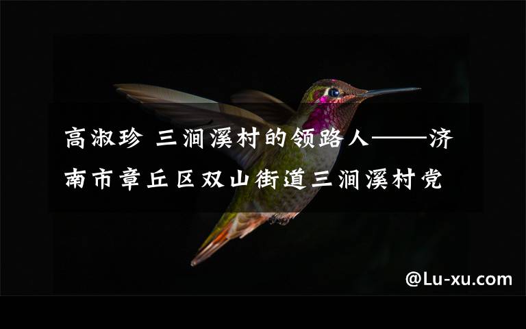 高淑珍 三涧溪村的领路人——济南市章丘区双山街道三涧溪村党总支书记高淑贞