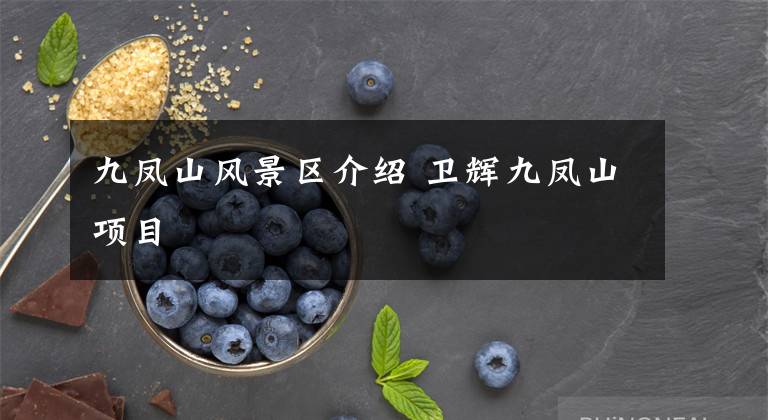 九凤山风景区介绍 卫辉九凤山项目