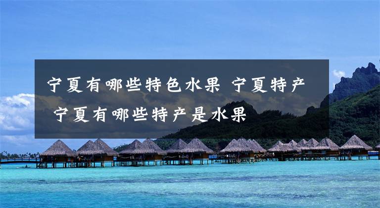 宁夏有哪些特色水果 宁夏特产 宁夏有哪些特产是水果