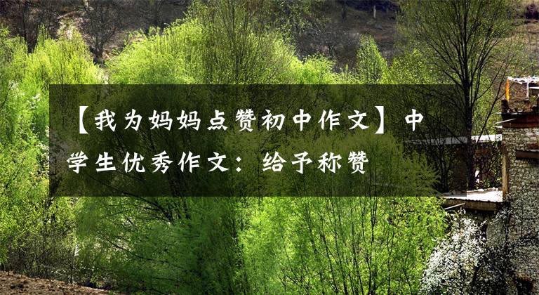 【我为妈妈点赞初中作文】中学生优秀作文:给予称赞