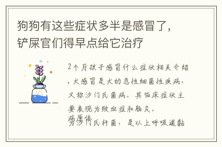 狗狗有这些症状多半是感冒了,铲屎官们得早点给它治疗