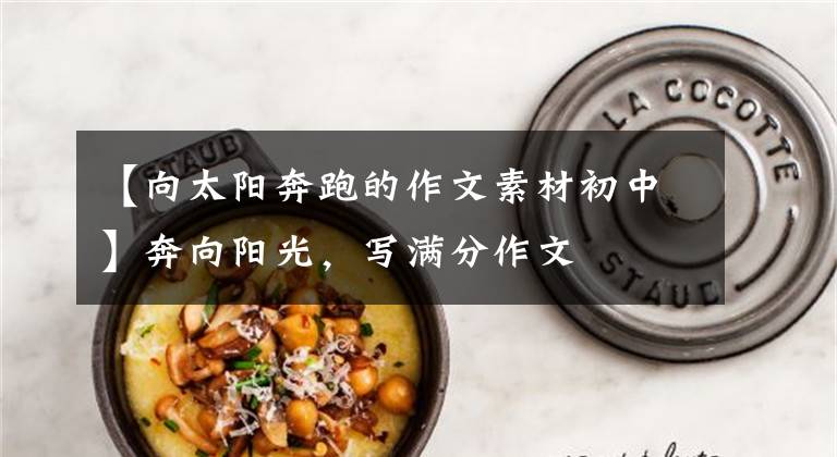 【向太阳奔跑的作文素材初中】奔向阳光,写满分作文