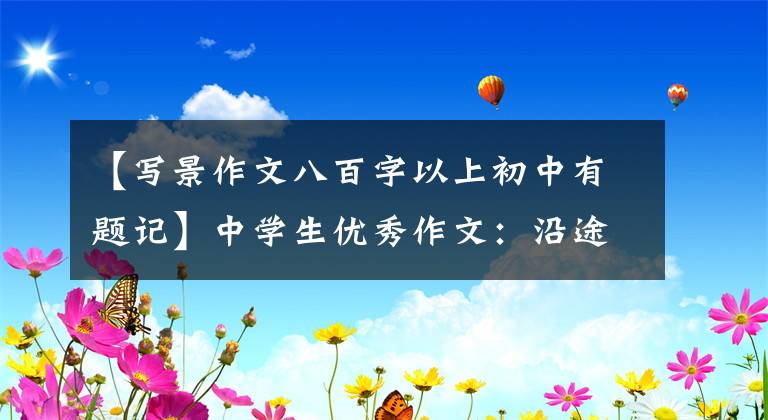 【写景作文八百字以上初中有题记】中学生优秀作文:沿途风景
