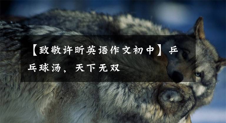 【致敬许昕英语作文初中】乒乓球汤,天下无双