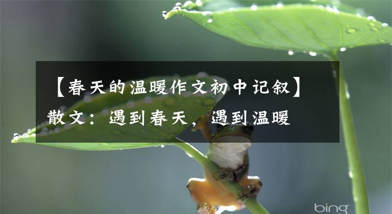 【春天的温暖作文初中记叙】散文:遇到春天,遇到温暖