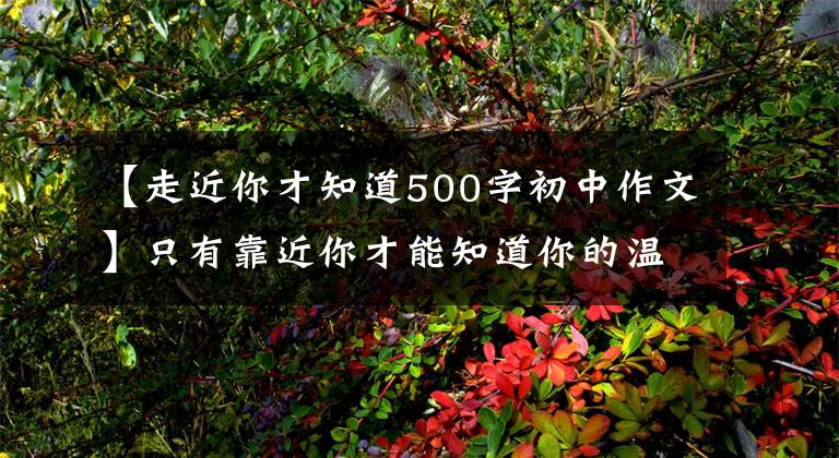 【走近你才知道500字初中作文】只有靠近你才能知道你的温暖