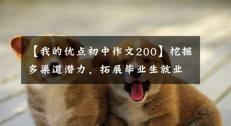 【我的优点初中作文200】挖掘多渠道潜力，拓展毕业生就业的新空间