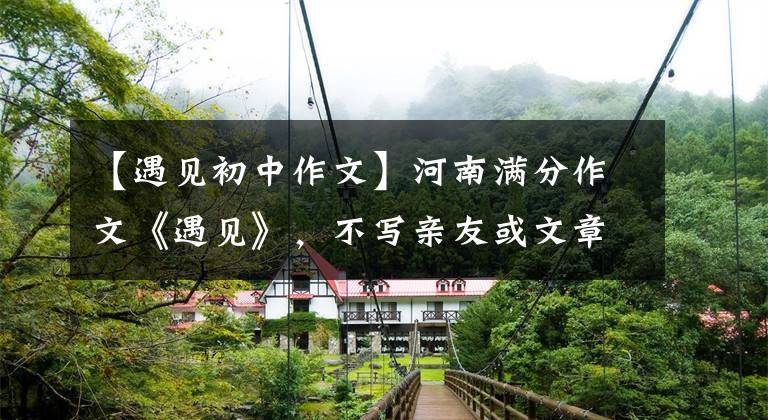 【遇见初中作文】河南满分作文《遇见》,不写亲友或文章,这个构想令人惊叹