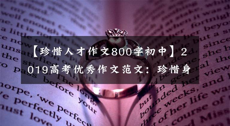 【珍惜人才作文800字初中】2019高考优秀作文范文：珍惜身边的百乐