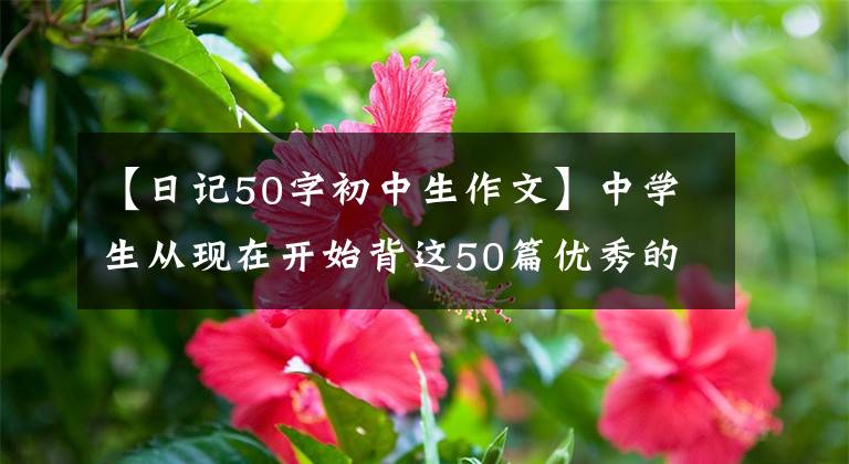 【日记50字初中生作文】中学生从现在开始背这50篇优秀的英语作文,期中考试作文能得满分
