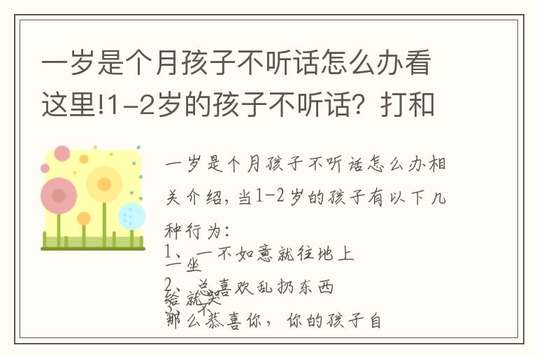 一岁是个月孩子不听话怎么办看这里!1-2岁的孩子不听话?打和骂都不管用,真正管用的方法是这4个