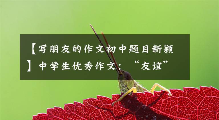 【写朋友的作文初中题目新颖】中学生优秀作文:“友谊”主题作文