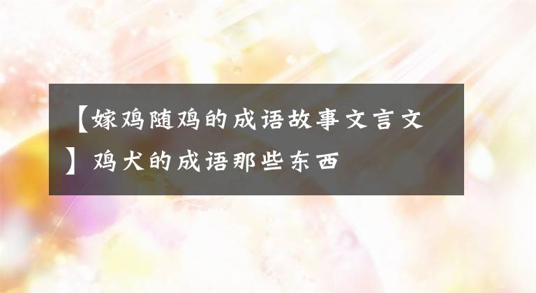 【嫁鸡随鸡的成语故事文言文】鸡犬的成语那些东西