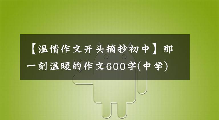 【温情作文开头摘抄初中】那一刻温暖的作文600字(中学)
