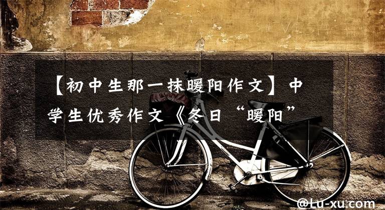 【初中生那一抹暖阳作文】中学生优秀作文《冬日“暖阳”》