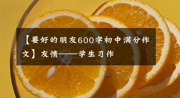 【要好的朋友600字初中满分作文】友情——学生习作