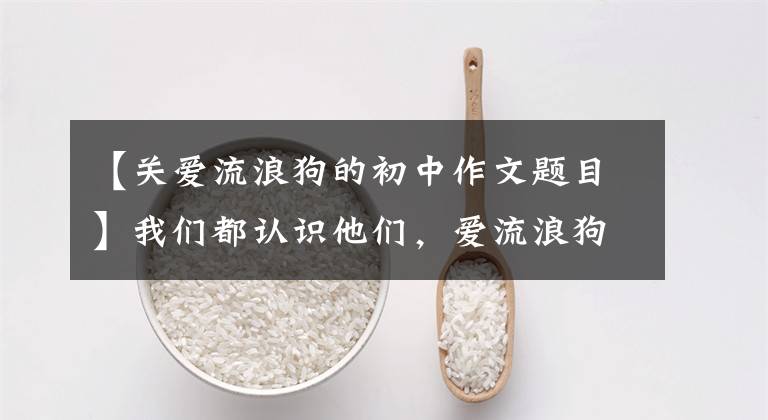 【关爱流浪狗的初中作文题目】我们都认识他们,爱流浪狗。