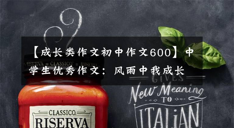 【成长类作文初中作文600】中学生优秀作文:风雨中我成长了