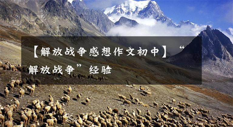 【解放战争感想作文初中】“解放战争”经验