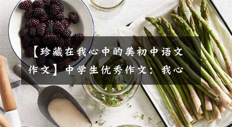 【珍藏在我心中的美初中语文作文】中学生优秀作文:我心中最美的风景
