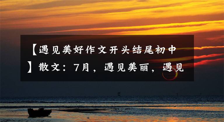 【遇见美好作文开头结尾初中】散文:7月,遇见美丽,遇见最美的自己