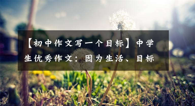 【初中作文写一个目标】中学生优秀作文:因为生活、目标而优秀