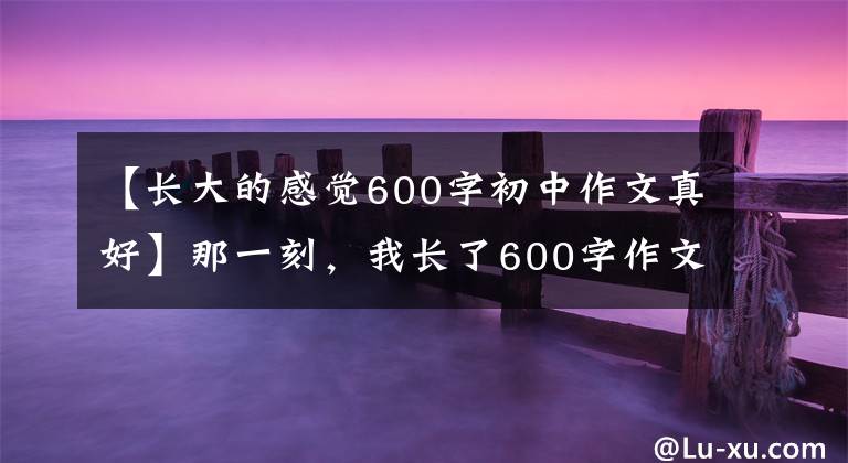 【长大的感觉600字初中作文真好】那一刻,我长了600字作文