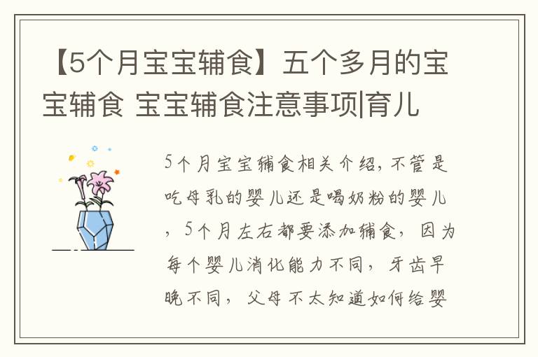【5个月宝宝辅食】五个多月的宝宝辅食 宝宝辅食注意事项|育儿大师