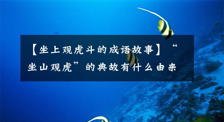【坐上观虎斗的成语故事】“坐山观虎”的典故有什么由来