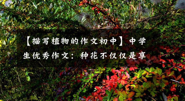 【描写植物的作文初中】中学生优秀作文:种花不仅仅是享乐。