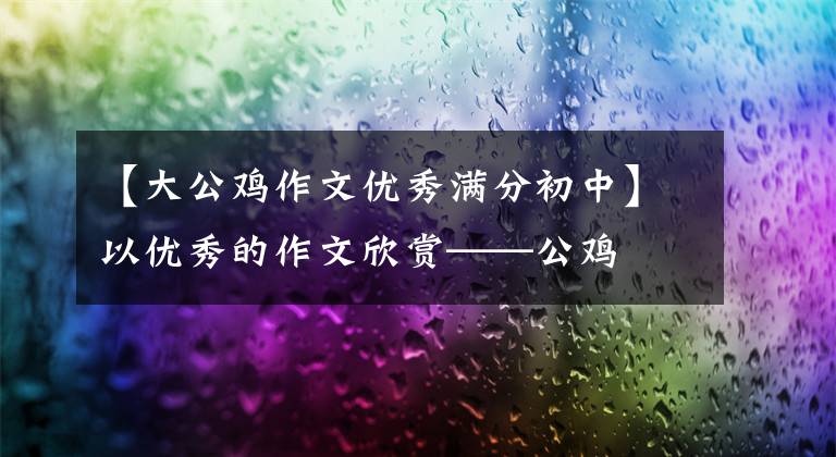 【大公鸡作文优秀满分初中】以优秀的作文欣赏——公鸡