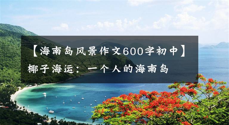 【海南岛风景作文600字初中】椰子海运：一个人的海南岛