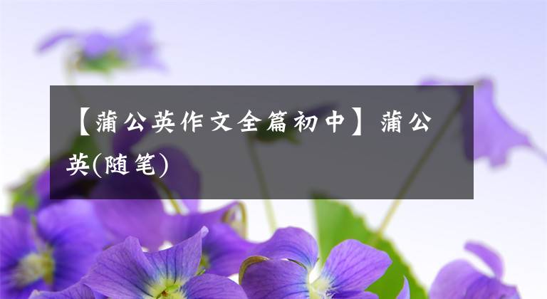 【蒲公英作文全篇初中】蒲公英(随笔)