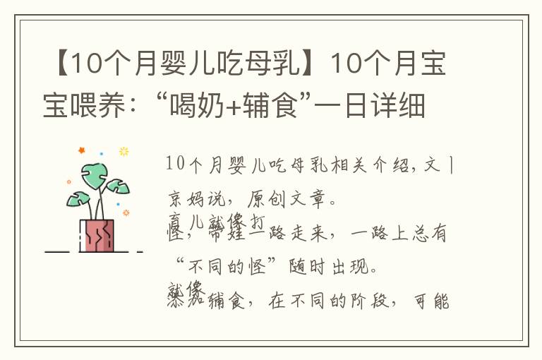 【10个月婴儿吃母乳】10个月宝宝喂养:“喝奶+辅食”一日详细安排,重点锻炼俩能力