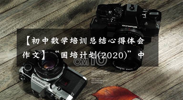 【初中数学培训总结心得体会作文】“国培计划(2020)”中学数学班3354——教育体验