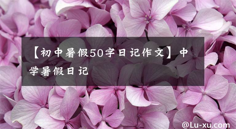 【初中暑假50字日记作文】中学暑假日记