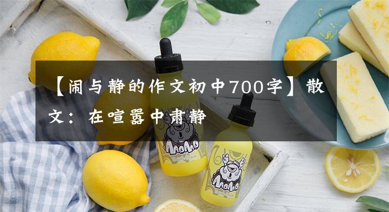 【闹与静的作文初中700字】散文：在喧嚣中肃静