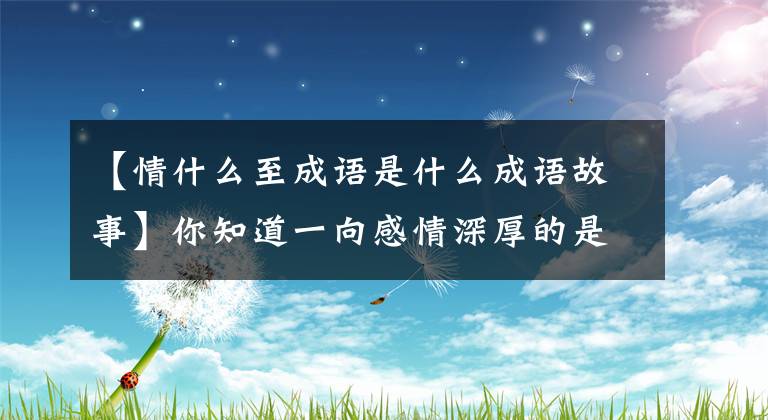 【情什么至成语是什么成语故事】你知道一向感情深厚的是历史上哪一个典故吗？