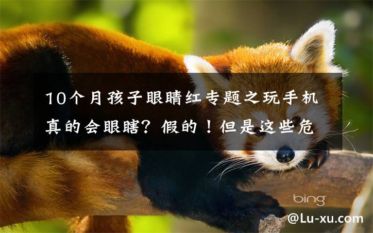 10个月孩子眼睛红专题之玩手机真的会眼瞎?假的!但是这些危害不可忽视
