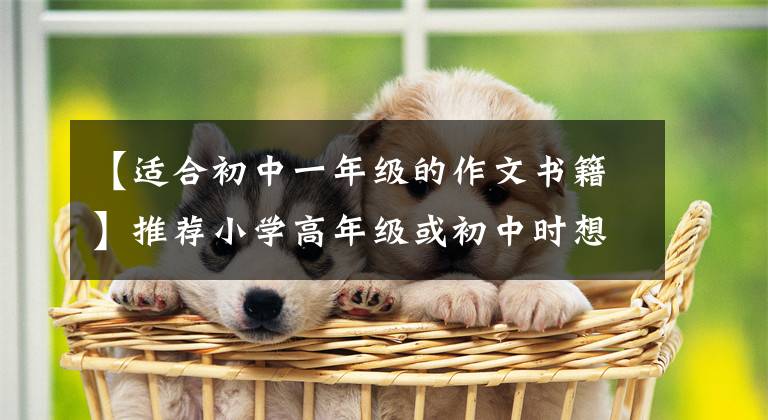 【适合初中一年级的作文书籍】推荐小学高年级或初中时想提高写作能力的书