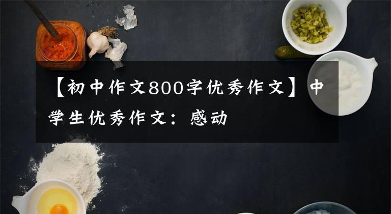 【初中作文800字优秀作文】中学生优秀作文:感动